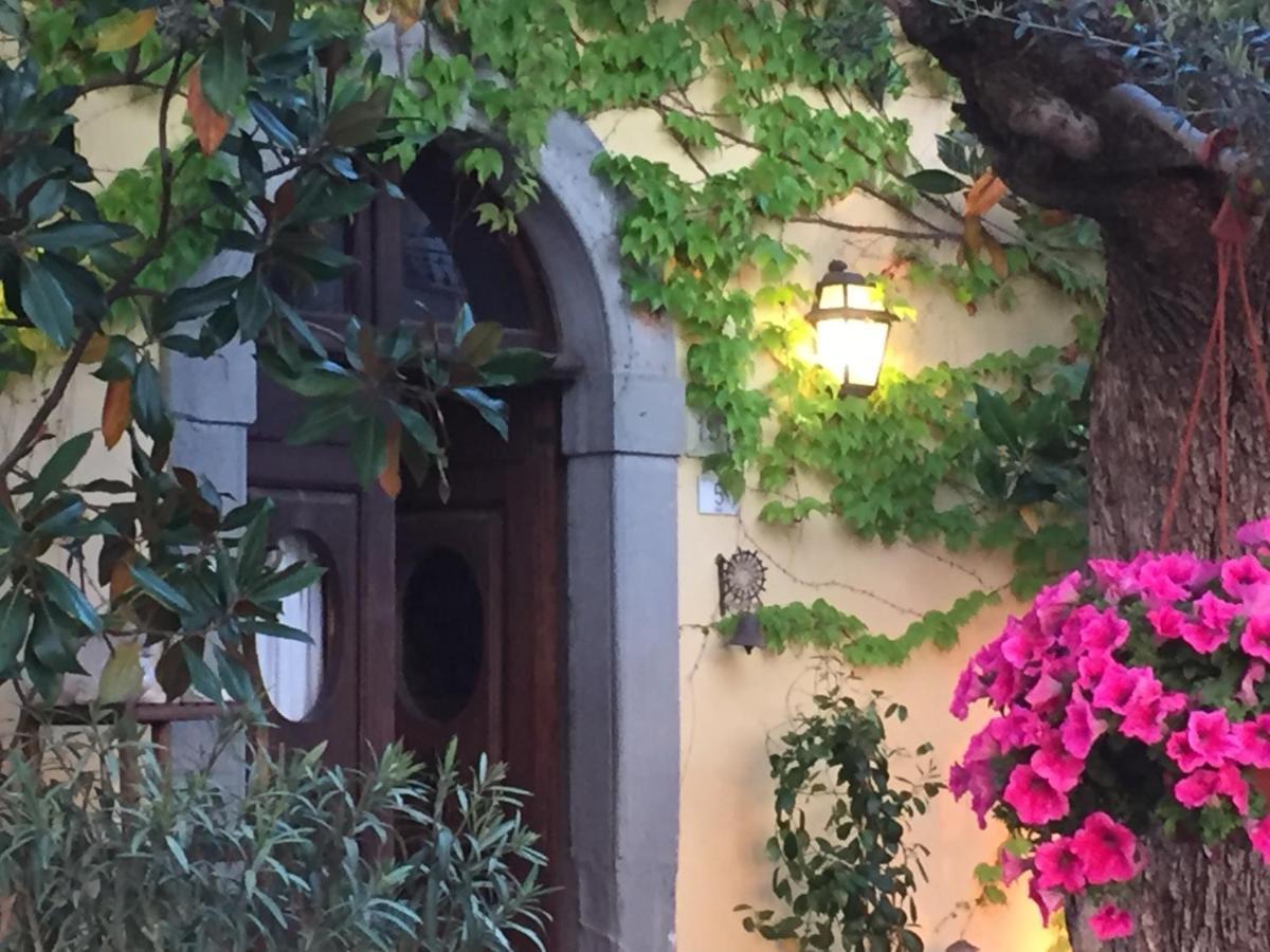 Il Sole Del Sodo Guest House Кортона Екстериор снимка