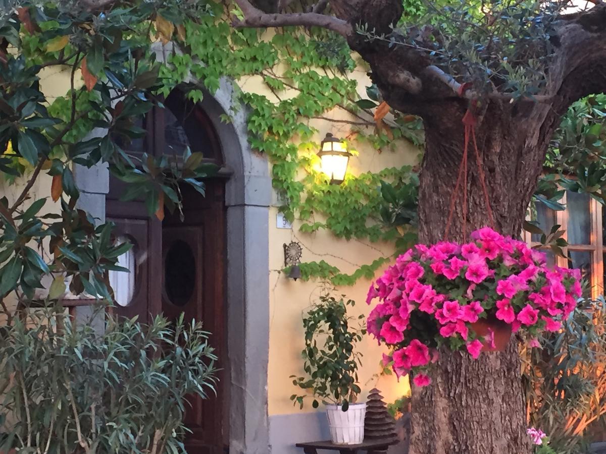 Il Sole Del Sodo Guest House Кортона Екстериор снимка