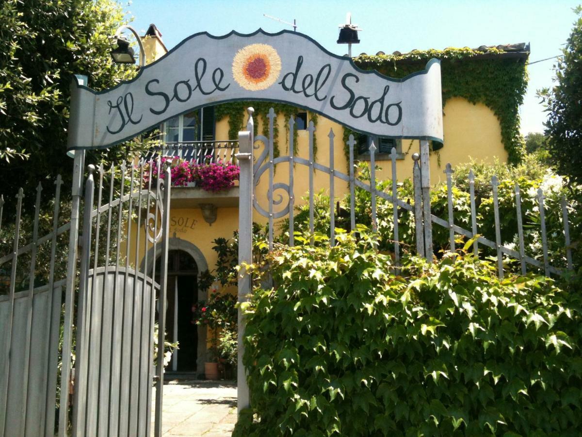 Il Sole Del Sodo Guest House Кортона Екстериор снимка